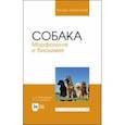 russische bücher: Зеленевский Николай Вячеславович - Собака. Морфология и биохимия. Учебное пособие