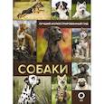 russische bücher: Вайткене Любовь Дмитриевна - Собаки. Лучший иллюстрированный гид