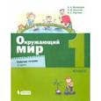 russische bücher: Вахрушев Александр Александрович - Окружающий мир. 1 класс. Рабочая тетрадь. В 2-х частях. Часть 2.