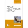 russische bücher: Малофеев Юрий Михайлович - Атлас по анатомии марала. Учебное пособие