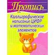 russische bücher: Шамакова Е. - Каллиграфическое написание цифр и математических элементов (кошка)