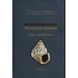 russische bücher: Шмаков А.,Дадыкин И.и др. - Ископаемые Московского региона