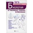 russische bücher: Бутвиловский Валерий Эдуардович, Давыдов Владимир Витольдович, Заяц Роман Георгиевич - Биология в таблицах, схемах и рисунках