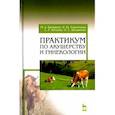 russische bücher: Багманов Минереис Алиуллович - Практикум по акушерству и гинекологии.Уч.пос.