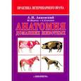 russische bücher: Акаевский Анатолий Иванович - Анатомия домашних животных