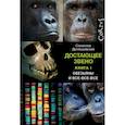 russische bücher: Дробышевский С.В. - Достающее звено. Книга первая. Обезьяны и все-все-все