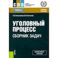 russische bücher: Большакова Татьяна Аркадьевна - Уголовный процесс. Сборник задач. Учебное пособие