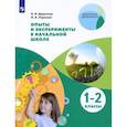 russische bücher: Дорохина Надежда Николаевна - Опыты и эксперименты в начальной школе. 1-2 классы