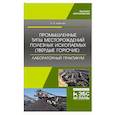 russische bücher: Новикова Валентина Николаевна - Валентина Новикова: Промышленные типы месторождений полезных ископаемых (твердые горючие).