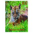 :  - 2022 Календарь Год тигра. Забавные тигрята