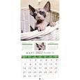 :  - Календарь на 2022 год "Забавные котята" (30205)