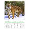 :  - Календарь на 2022 год "Год тигра"