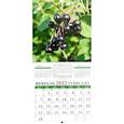 :  - Календарь Лунный календарь сад и огород
