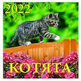 :  - Календарь на 2022 год "Котята" (70205)