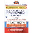russische bücher: Птухина А. В. - Литературное чтение. Всероссийская проверочная работа за курс начальной школы. Практикум по выполнению типовых заданий