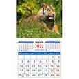 :  - Календарь 2022 "Год тигра. Спокойствие и уверенность" (20225)
