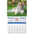 :  - Календарь магнитный на 2022 год "Год тигра. Сила и грация" (20230)