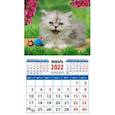 :  - Календарь 2022 "Забавный котенок" (20215)