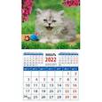 :  - Календарь 2022 "Забавный котенок" (20215)