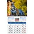 :  - Календарь 2022. "Год тигра. В лучах закатного солнца" (2022)