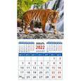 :  - Календарь 2022. "Год тигра. Полосатый красавец" (20228)