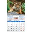 :  - Календарь 2022 "Год тигра. Симпатичный хозяин джунглей" (20239)
