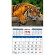:  - Календарь 2022. "Год тигра. Расслабленность и безмятежность"