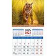 :  - Календарь 2022. "Год тигра. Молодой красавец в зарослях"