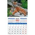 :  - Календарь 2022 "Год тигра. Настоящий хозяин джунглей" (20233)