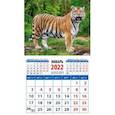 :  - Календарь 2022 "Год тигра. Могучий властелин джунглей" (20240)