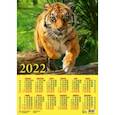 :  - Календарь настенный на 2022 год "Год тигра. Настоящий хозяин джунглей" (90228)