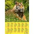 :  - Календарь настенный на 2022 год "Год тигра. Спокойствие и сосредоточенность" (90226)