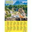 :  - Календарь настенный на 2022 год "Год тигра. Великолепный тигр у водопада" (90221)