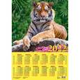 :  - Календарь настенный на 2022 год "Год тигра. Симпатичный хозяин джунглей" (90220)