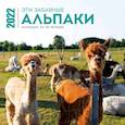 russische bücher:  - Эти забавные альпаки. Календарь настенный на 16 месяцев на 2022 год