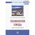russische bücher: Сокольская Елена Владимировна - Геоэкология города. Модели качества среды. Монография