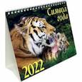 :  - Календарь-домик на 2022 год (евро). Символ года 2