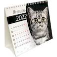 russische bücher:  - Календарь-домик (евро) Кошки. 2022 год