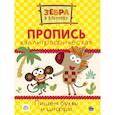 russische bücher:  - Зебра в клеточку. Каллиграфические прописи. Пишем буквы и цифры
