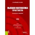 russische bücher: Икрянников Виктор Ильич - Высшая математика. Практикум. Учебное пособие