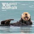 :  - Календарь настенный на 2022 год Дикие животные 1