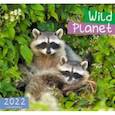 :  - Календарь настенный на 2022 год Дикие животные 4
