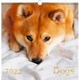 :  - Календарь на 2022 год Домашние любимцы 5, квадратный, средний