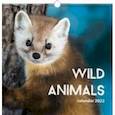 :  - Календарь на 2022 год Дикие животные 1, квадратный, средний