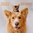 :  - Календарь на 2022 год Домашние любимцы 2, одноблочный, средний