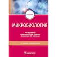russische bücher: под ред.Зверева В.В., Бойченко М.Н. - Микробиология