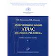 russische bücher: Николенко Владимир Николаевич, Оганесян Марине Валиковна - Мультилингвальный атлас анатомии человека
