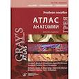 russische bücher: Дрейк Ричард Л., Фогль А. Уэйн, Митчелл Адам У.М. - Атлас анатомии Грея
