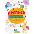 russische bücher:  - Прописи для подготовки к школе. Цифры и счет