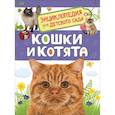 Кошки и котята